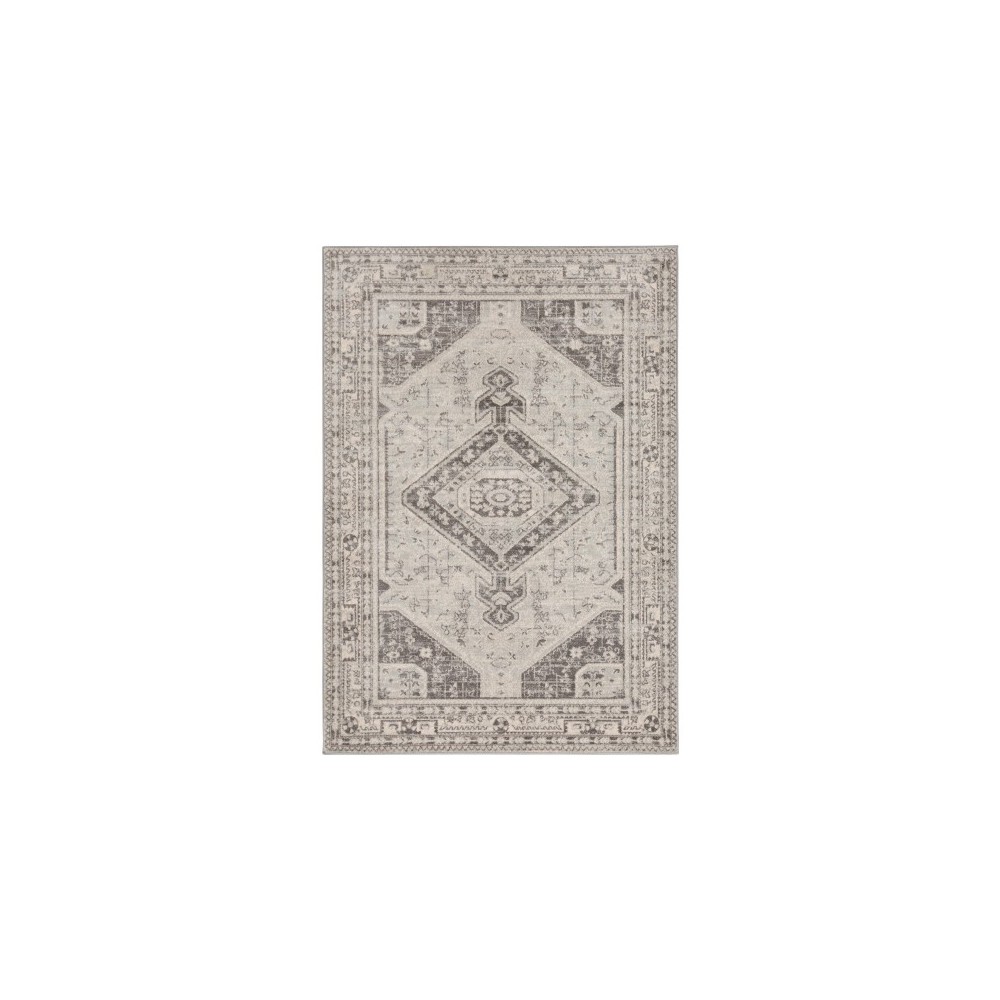 Surya Chester CHE-2315 6'7" x 9' Rug