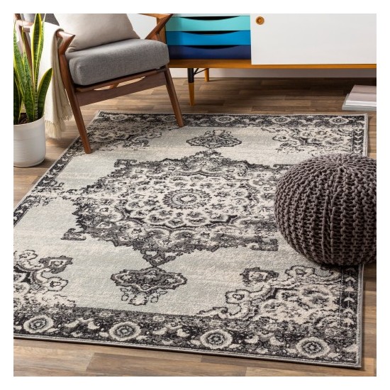 Surya Chester CHE-2318 5'3" x 7'3" Rug