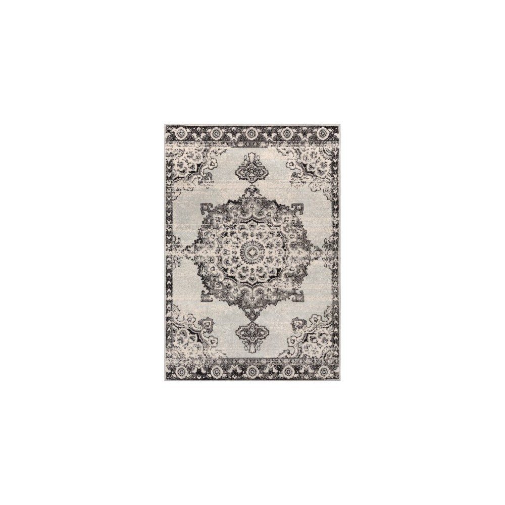 Surya Chester CHE-2318 7'10" x 10'3" Rug