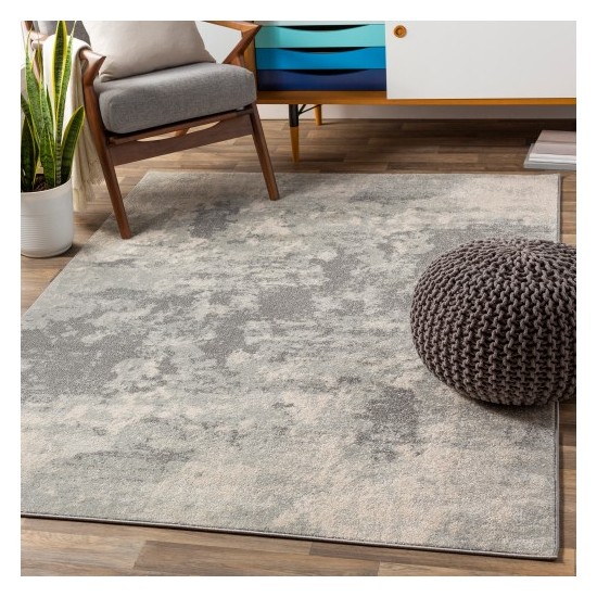 Surya Chester CHE-2320 5'3" x 7'3" Rug