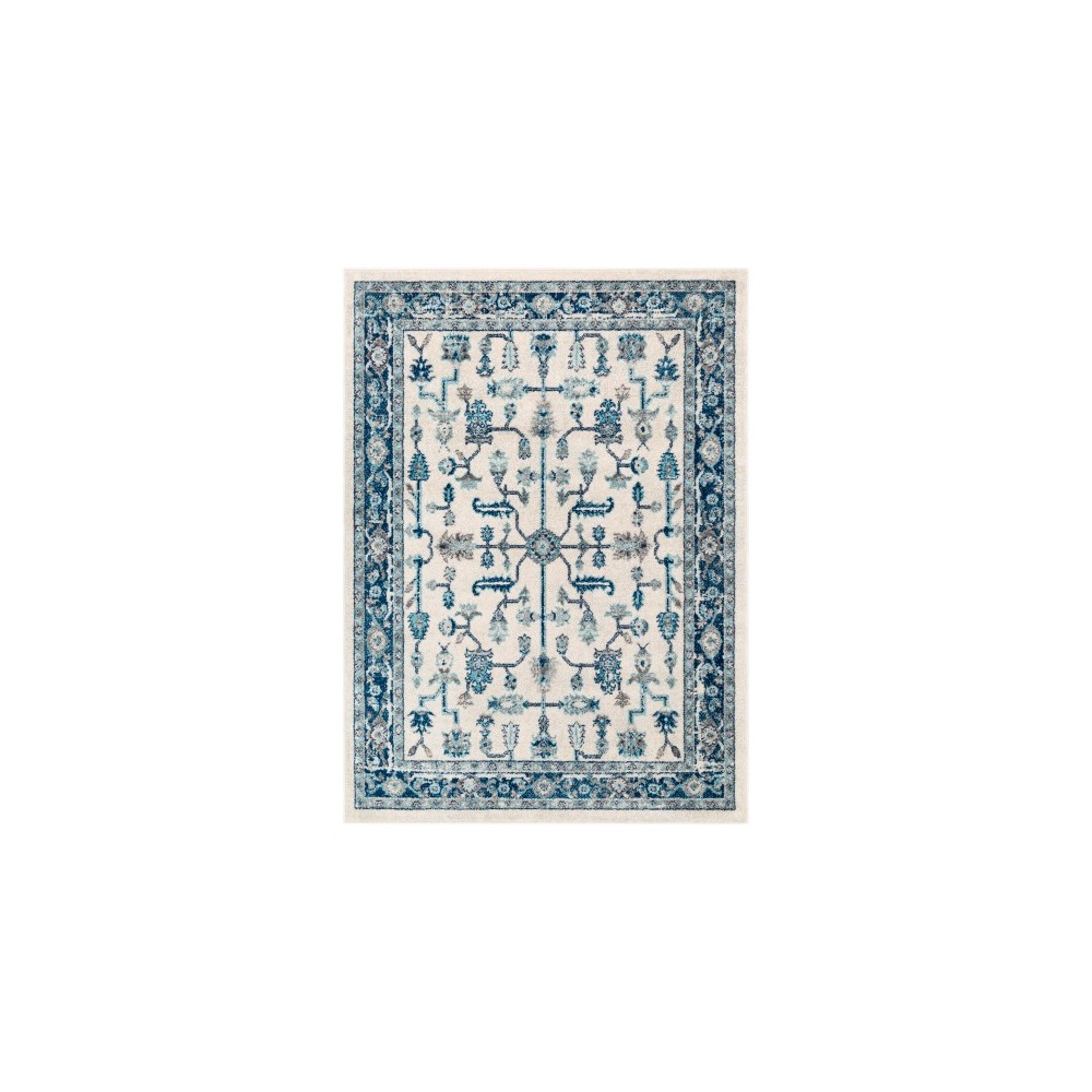Surya Norwich NWC-2309 6'7" x 9' Rug Surya Norwich NWC-2309 6'7" x 9' Rug