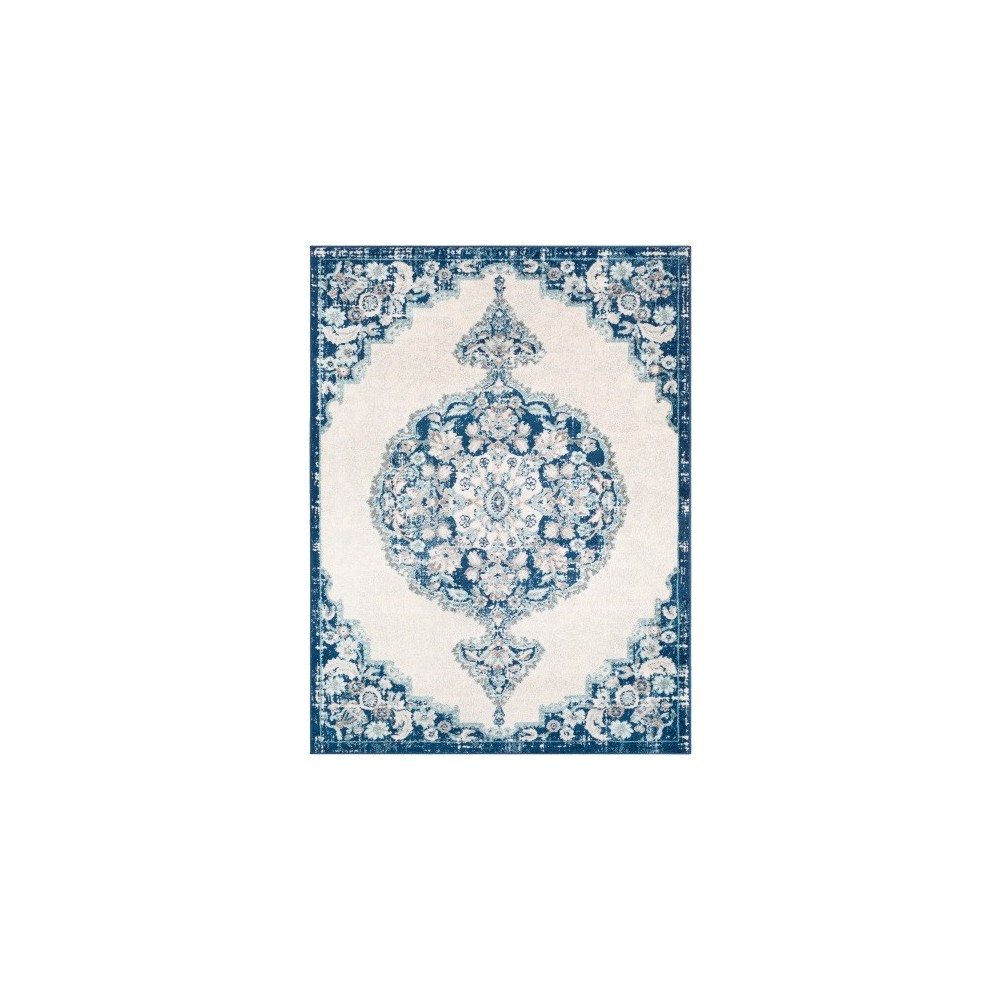 Surya Norwich NWC-2310 5'3" x 7'3" Rug Surya Norwich NWC-2310 5'3" x 7'3" Rug