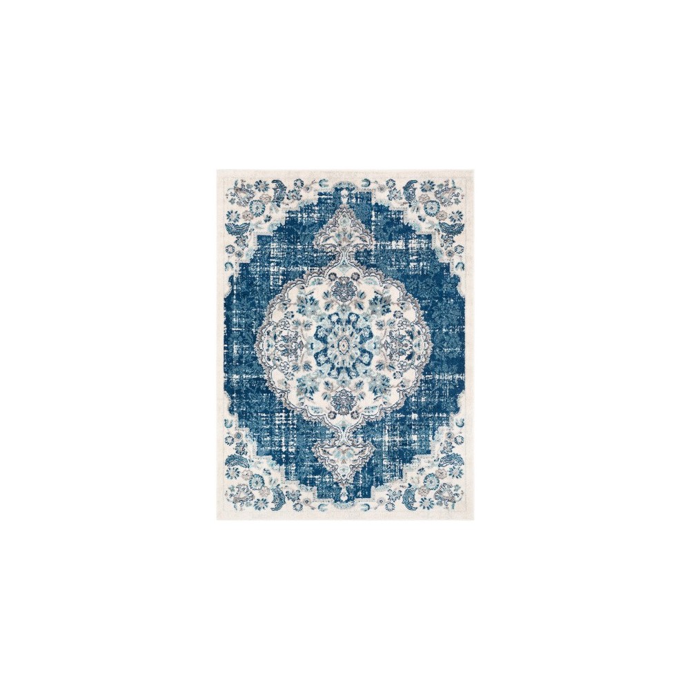 Surya Norwich NWC-2311 6'7" x 9' Rug Surya Norwich NWC-2311 6'7" x 9' Rug