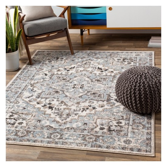 Surya Norwich NWC-2312 5'3" x 7'3" Rug