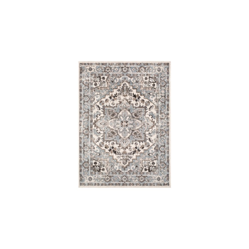 Surya Norwich NWC-2312 6'7" x 9' Rug