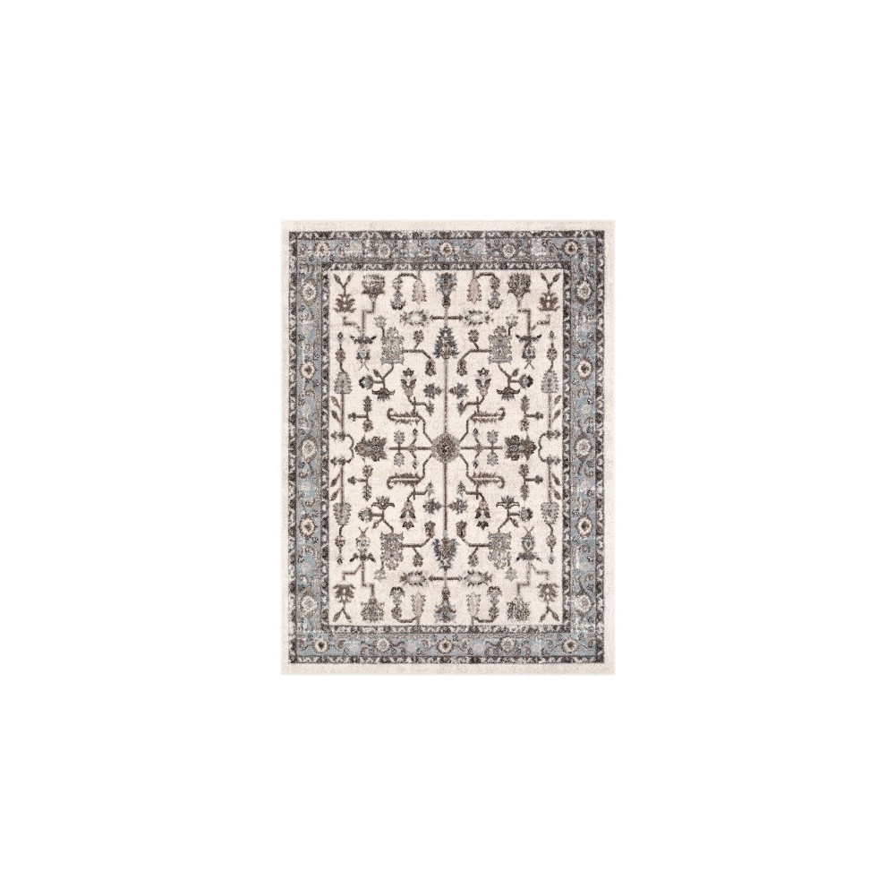 Surya Norwich NWC-2314 5'3" x 7'3" Rug Surya Norwich NWC-2314 5'3" x 7'3" Rug