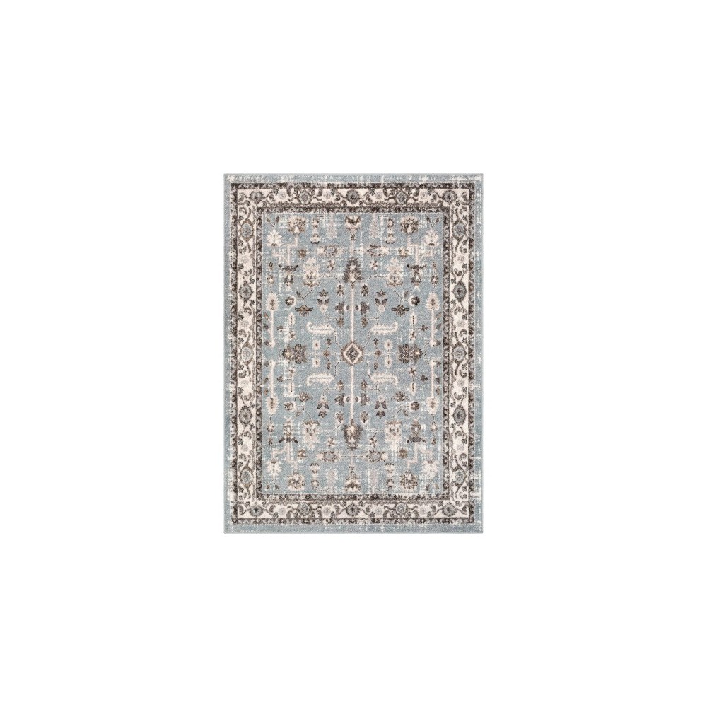 Surya Norwich NWC-2315 6'7" x 9' Rug