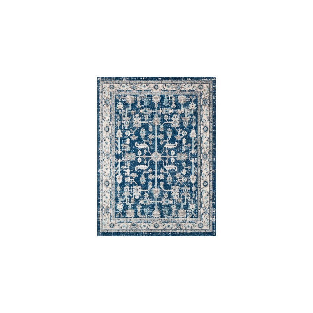 Surya Norwich NWC-2316 7'10" x 10'3" Rug