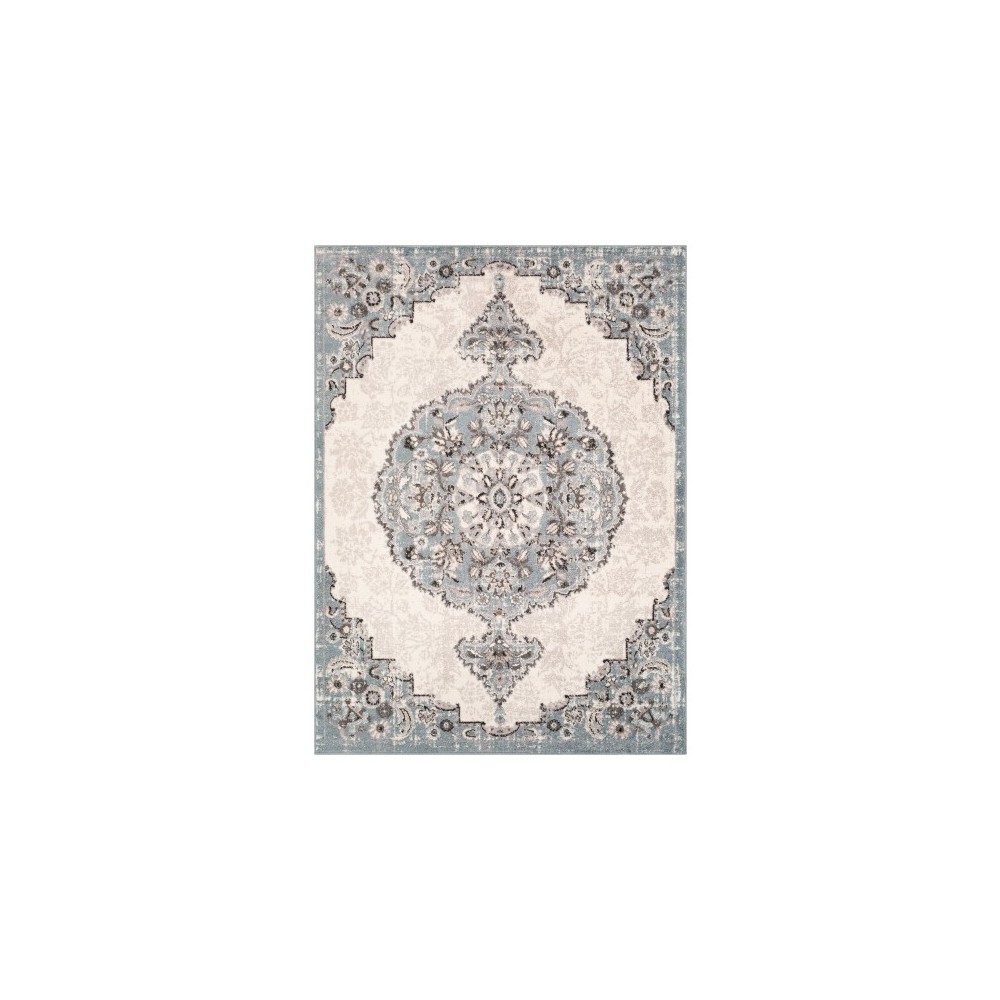 Surya Norwich NWC-2317 5'3" x 7'3" Rug