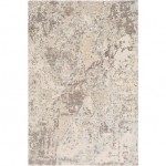 Surya Baranof BRF-1001 2' x 3' Rug