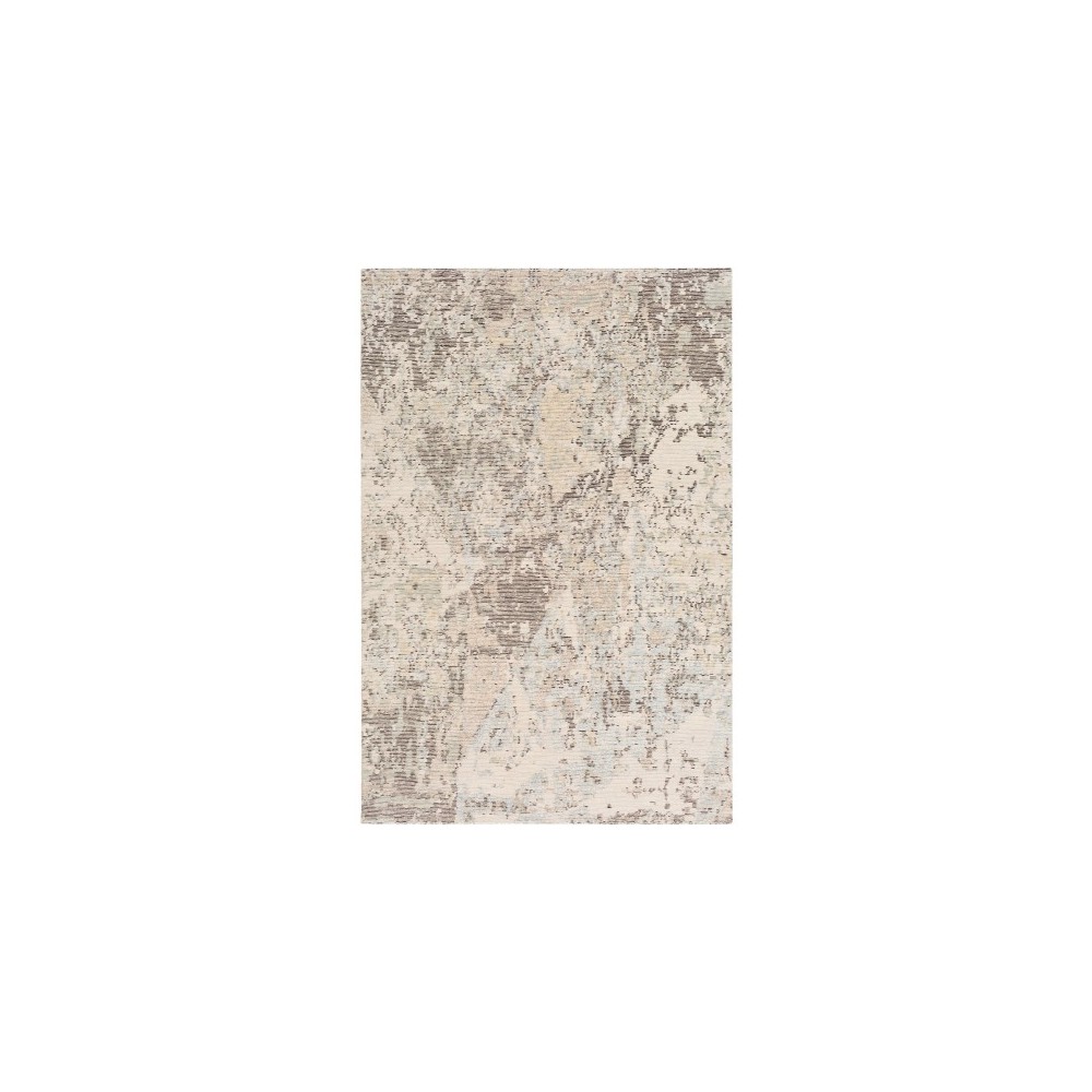 Surya Baranof BRF-1001 2' x 3' Rug