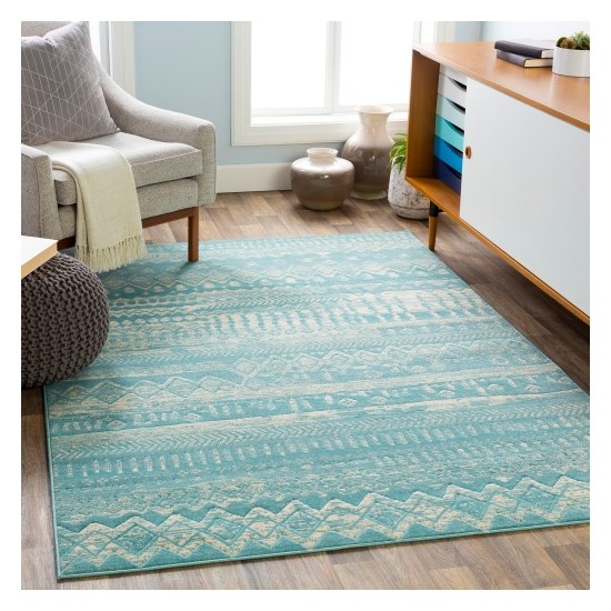 Surya City CIT-2363 2' x 3' Rug