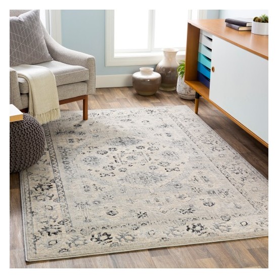 Surya City CIT-2365 7'10" x 10'3" Rug