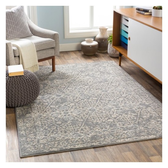 Surya City CIT-2369 2' x 3' Rug