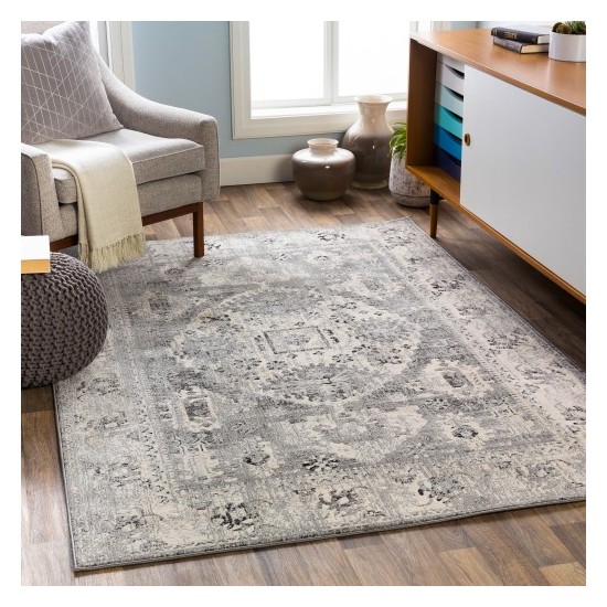 Surya City CIT-2379 2'7" x 7'3" Rug