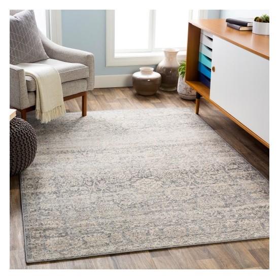 Surya City Light CYL-2300 6'7" x 9' Rug