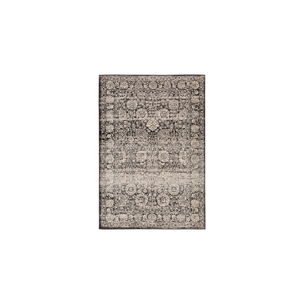 Surya City Light CYL-2301 5'3" x 7'3" Rug