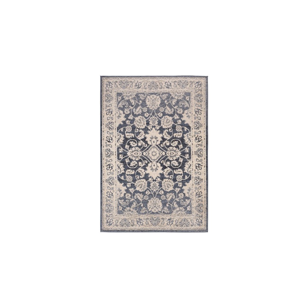 Surya City Light CYL-2306 6'7" x 9' Rug