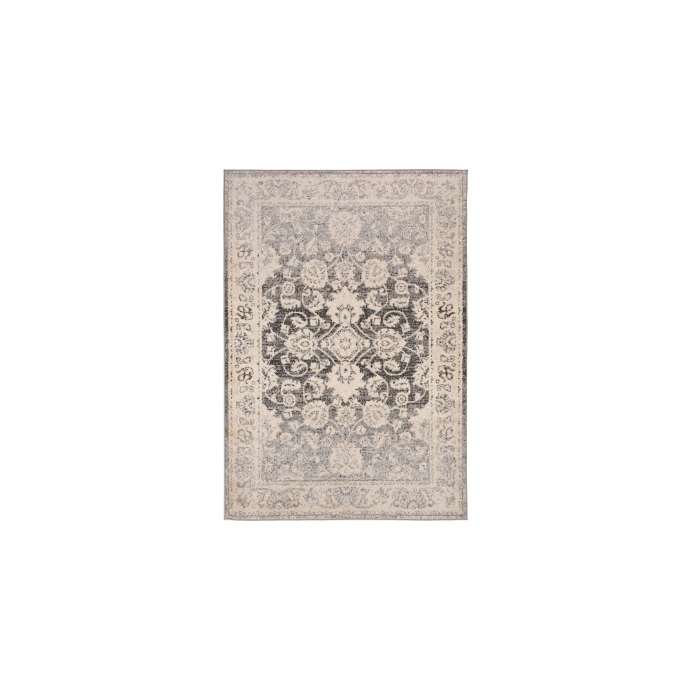 Surya City Light CYL-2308 6'7" x 9' Rug