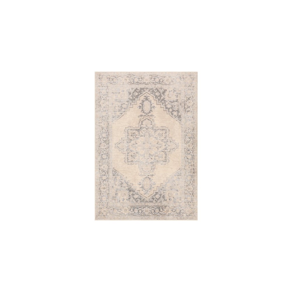 Surya City Light CYL-2316 5'3" x 7'3" Rug Surya City Light CYL-2316 5'3" x 7'3" Rug