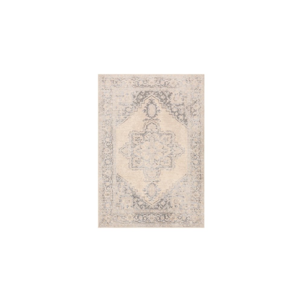 Surya City Light CYL-2316 6'7" x 9' Rug