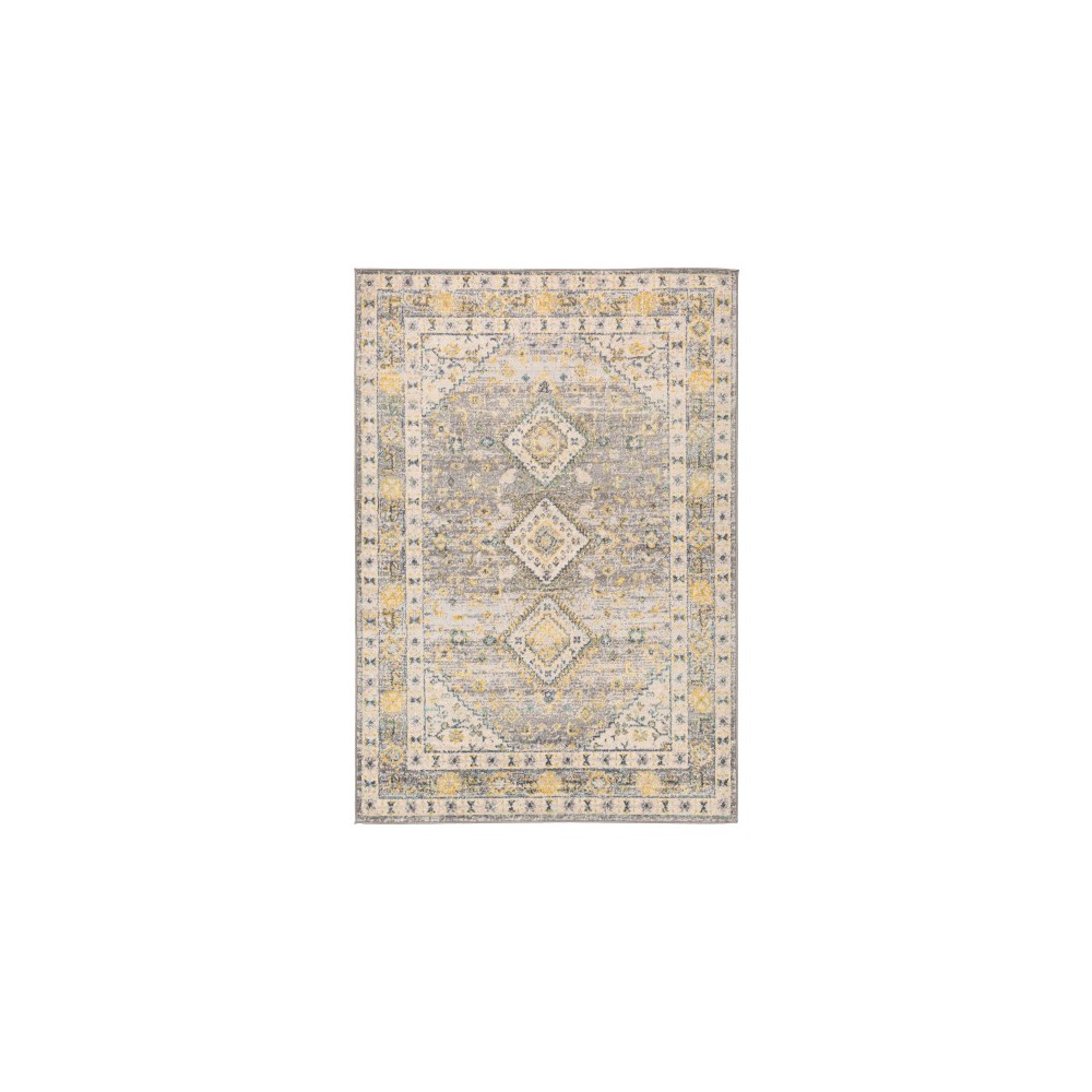 Surya City Light CYL-2320 6'7" x 9' Rug