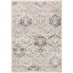 Surya City Light CYL-2324 6'7" x 9' Rug