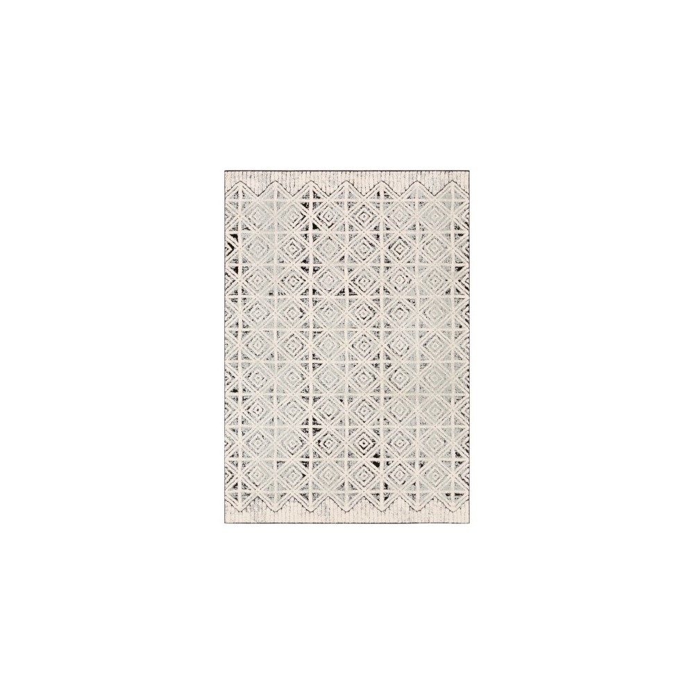 Surya Dersim DSM-2305 6'7" x 9' Rug Surya Dersim DSM-2305 6'7" x 9' Rug