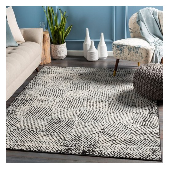 Surya Dersim DSM-2307 2' x 3' Rug