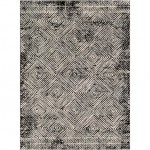 Surya Dersim DSM-2307 6'7" x 9' Rug