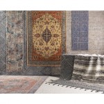Surya Montclair MTC-2300 8' x 10' Rug