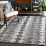 Surya Montclair MTC-2302 2' x 3' Rug