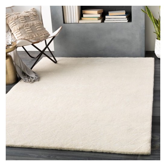 Surya Casa CAA-2300 2' x 3' Rug