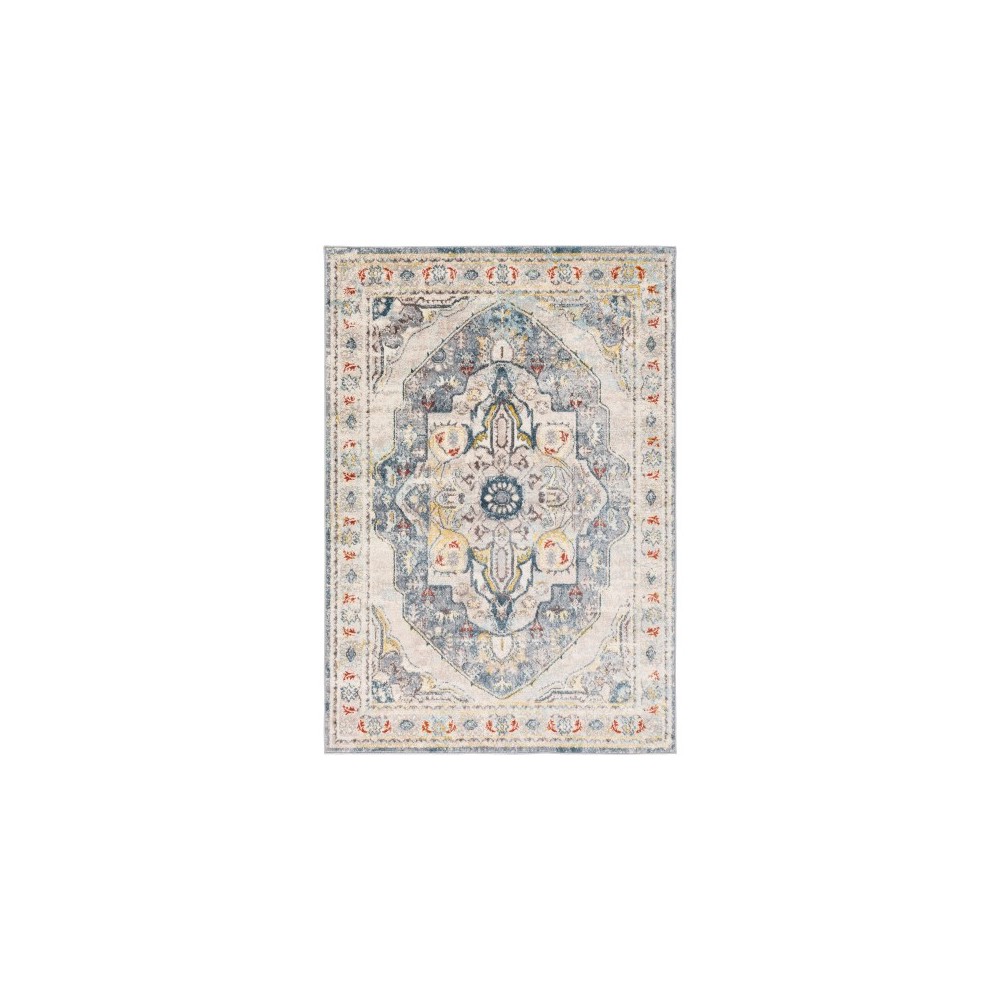 Surya Ankara AKR-2304 5'2" x 7' Rug