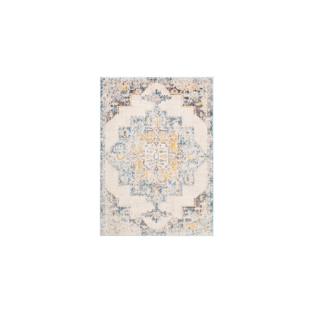 Surya Ankara AKR-2309 7'10" x 10'3" Rug