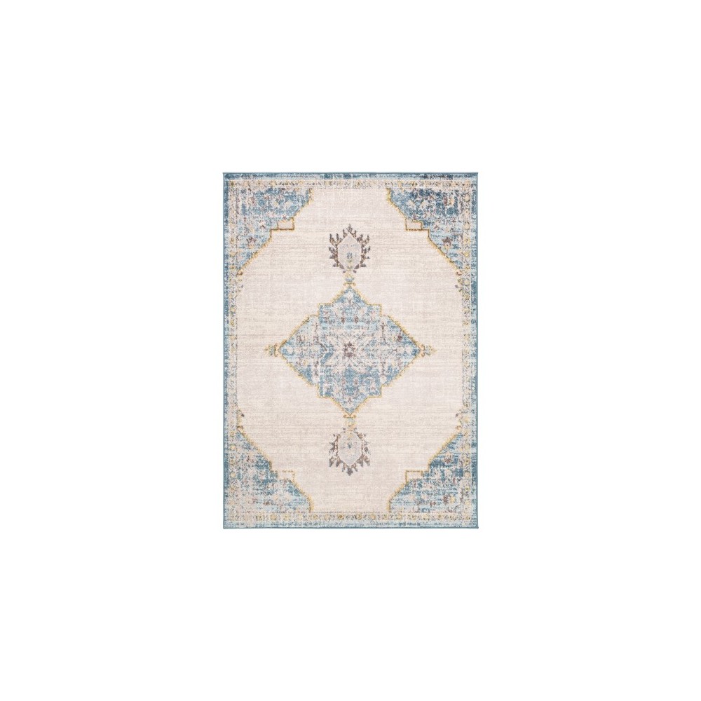 Surya Ankara AKR-2312 5'2" x 7' Rug