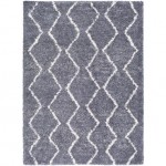 Surya Maroc Shag MRS-2306 2' x 3' Rug