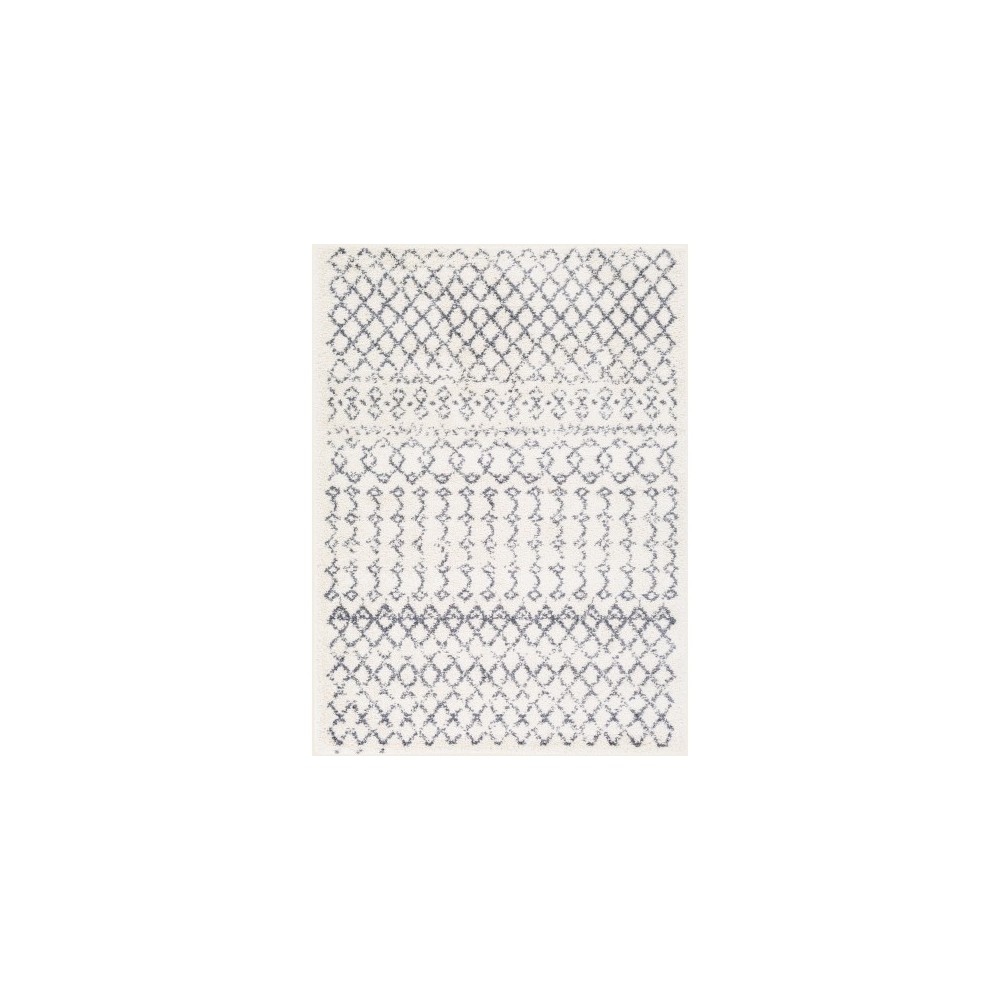 Surya Maroc Shag MRS-2311 7'10" x 10'3" Rug Surya Maroc Shag MRS-2311 7'10" x 10'3" Rug