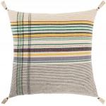 Surya Dashing DSG-006 20" x 20" Pillow Cover