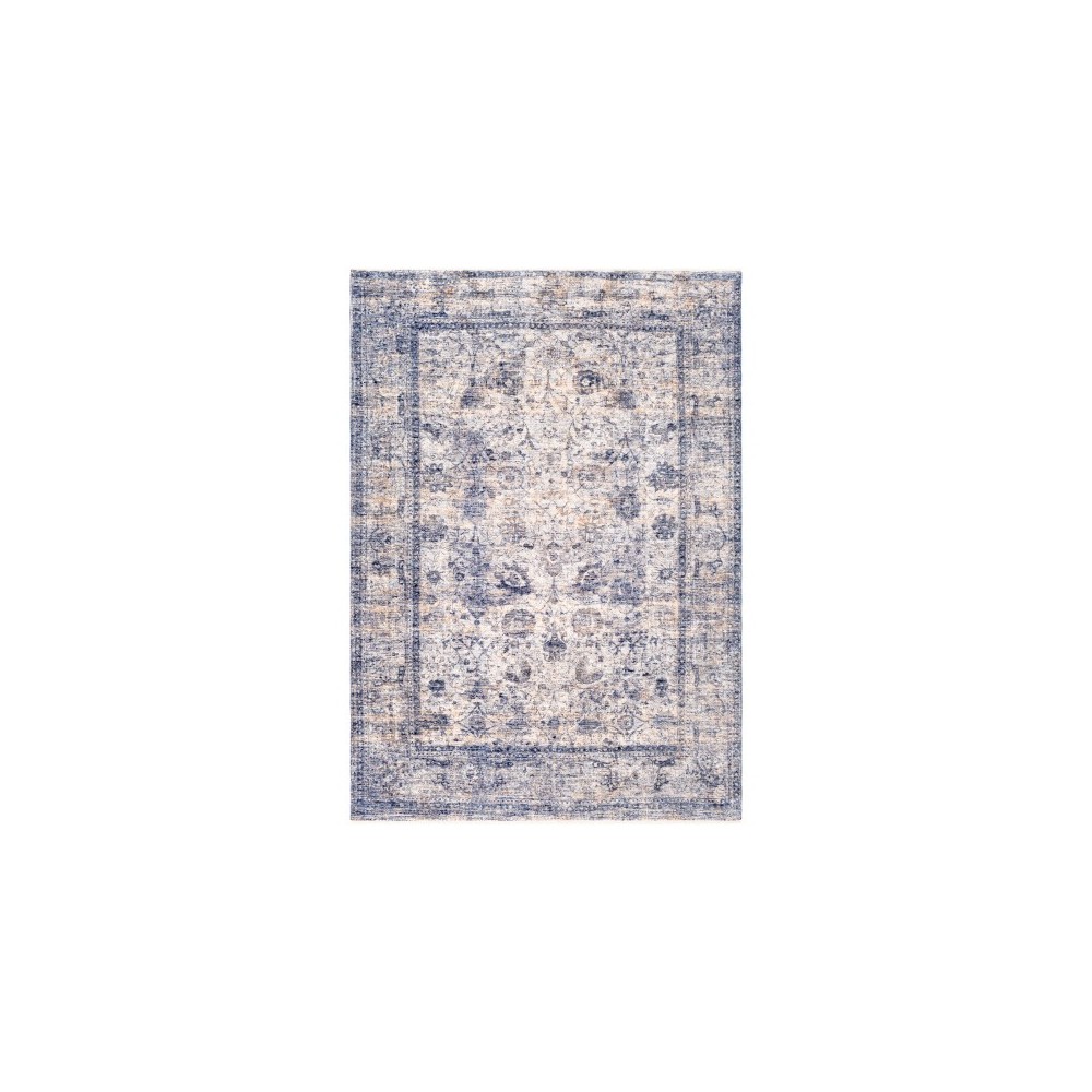 Surya Lincoln LIC-2302 2' x 3'3" Rug