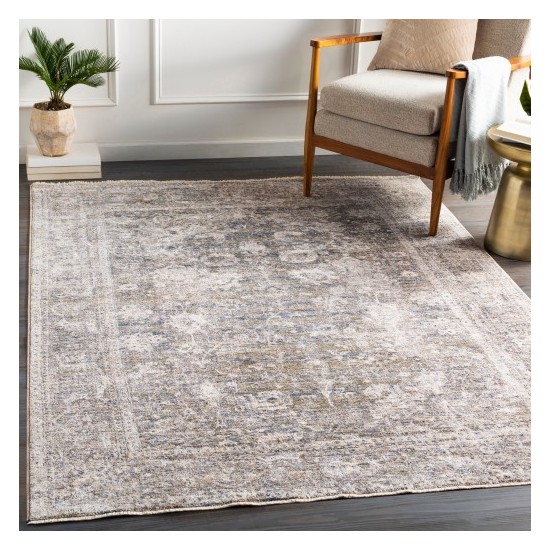 Surya Lincoln LIC-2304 2' x 3'3" Rug