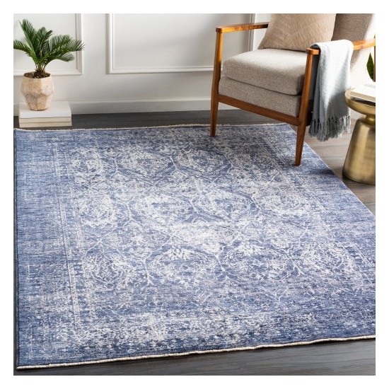 Surya Lincoln LIC-2305 2' x 3'3" Rug