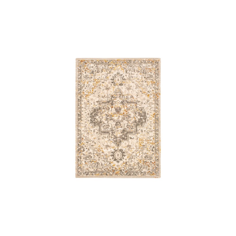 Surya Tuscany TUS-2307 6'7" x 9'6" Rug Surya Tuscany TUS-2307 6'7" x 9'6" Rug