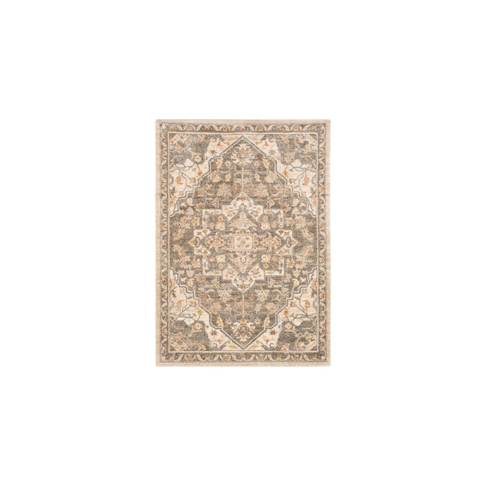 Surya Tuscany TUS-2308 2' x 3' Rug