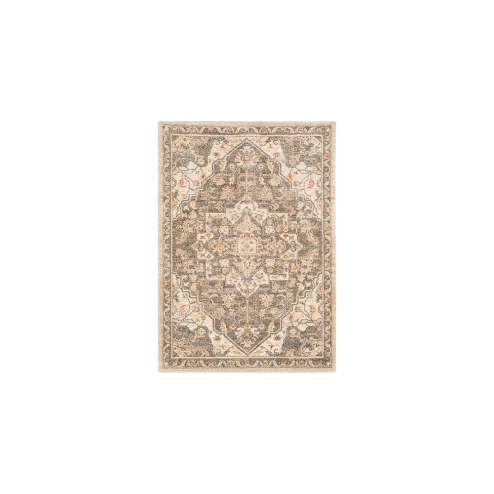Surya Tuscany TUS-2308 5'3" x 7'3" Rug Surya Tuscany TUS-2308 5'3" x 7'3" Rug