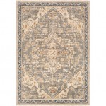 Surya Tuscany TUS-2309 2' x 3' Rug