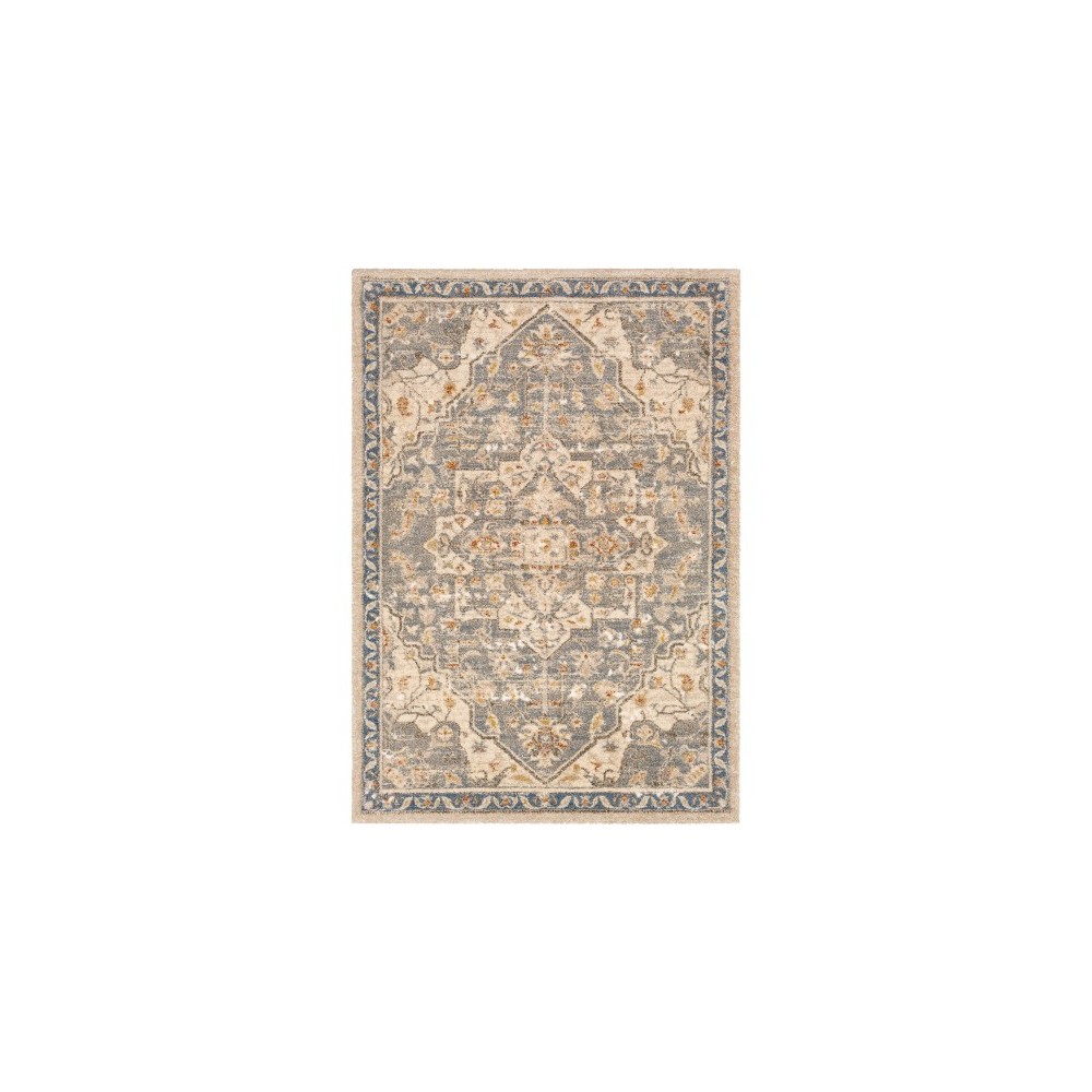 Surya Tuscany TUS-2309 5'3" x 7'3" Rug Surya Tuscany TUS-2309 5'3" x 7'3" Rug