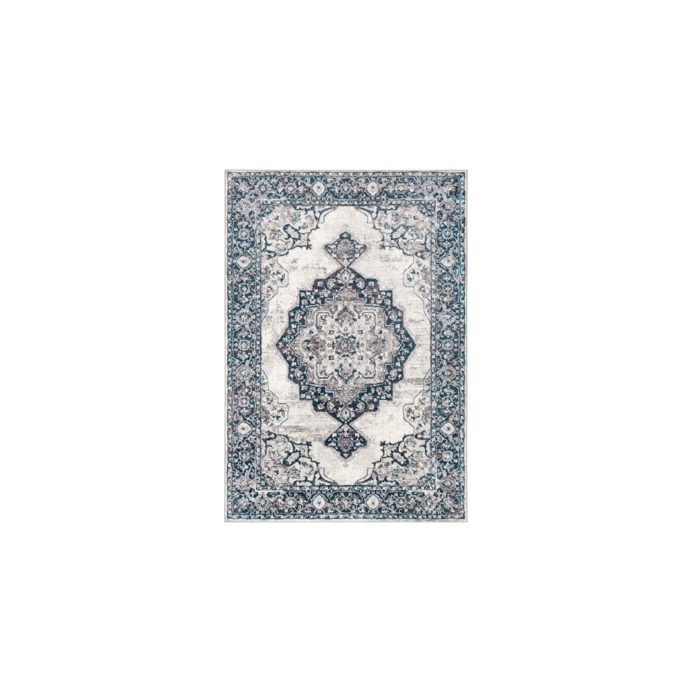 Surya Wanderlust WNL-2302 2' x 3' Rug Surya Wanderlust WNL-2302 2' x 3' Rug