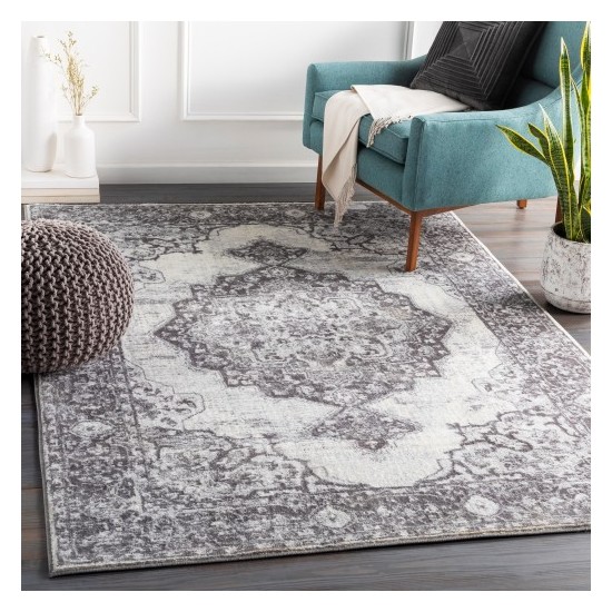 Surya Wanderlust WNL-2303 2' x 3' Rug