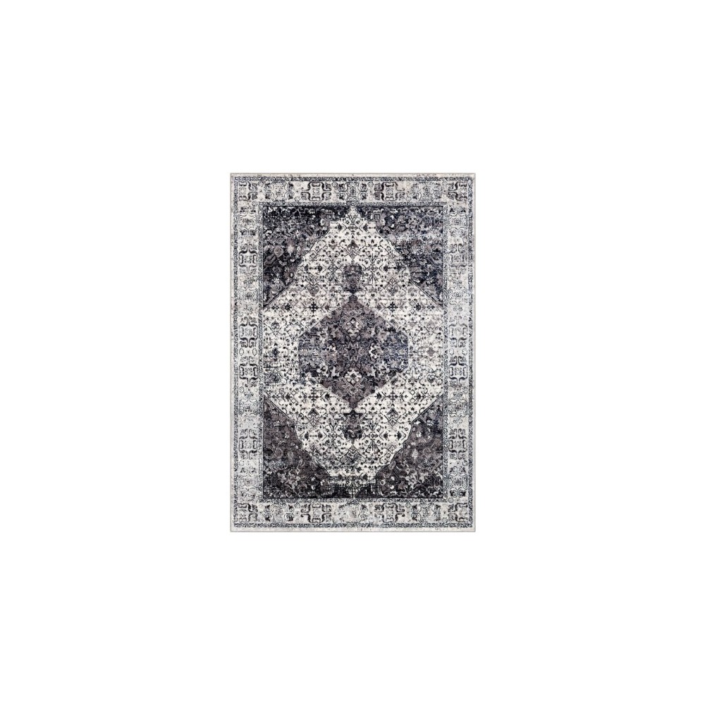 Surya Wanderlust WNL-2306 2' x 3' Rug